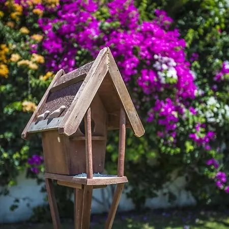 Tash Mekan Alaçatı