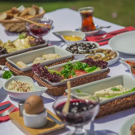 Tash Mekan 호텔
