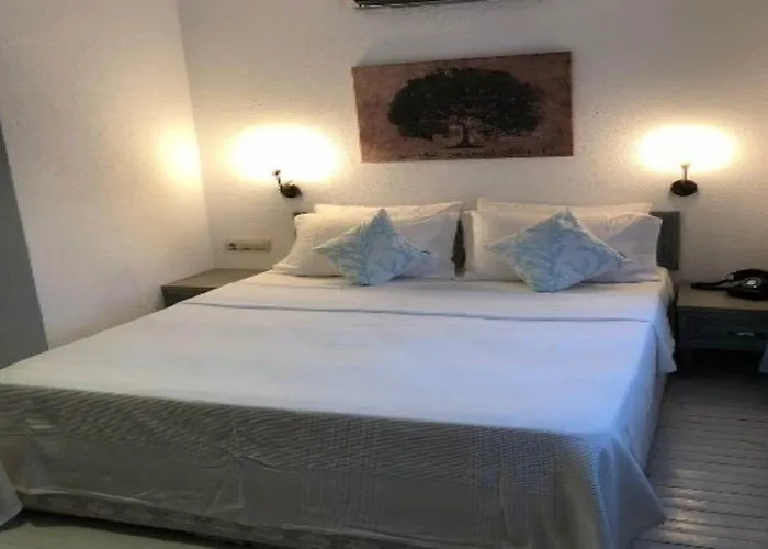 Tash Mekan Alaçatı