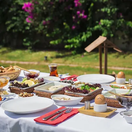 Tash Mekan אורחן אלאקאטי