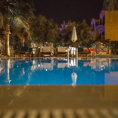 אורחן Tash Mekan אלאקאטי