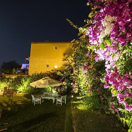 Tash Mekan אורחן