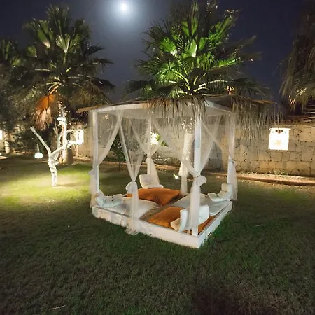 אורחן Tash Mekan