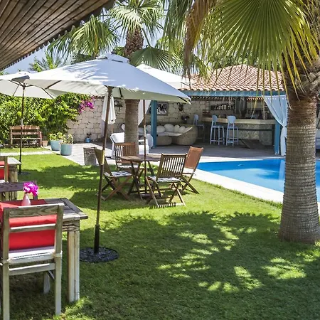 Tash Mekan אלאקאטי